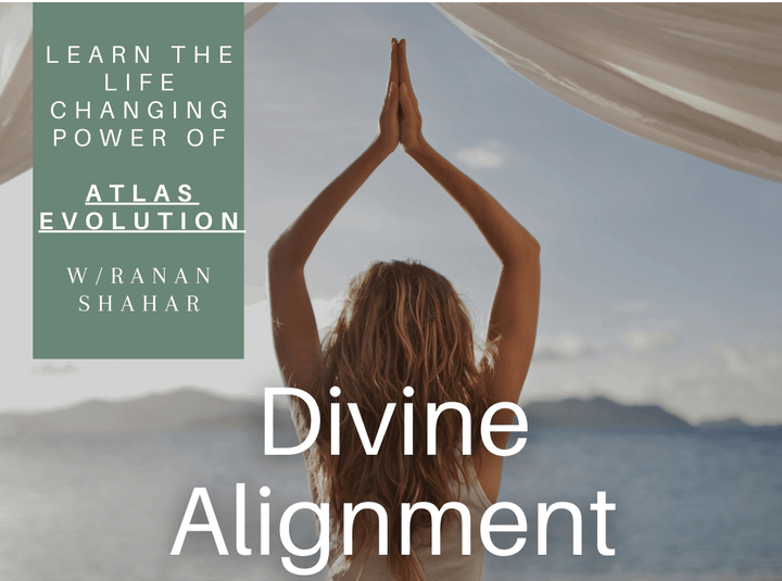 Divine Alignment Training and Certification - BrightFuture.Org Shop