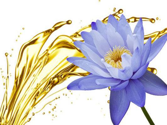I AM DIVINE: Egyptian Blue Lotus HYDRASOL SPRAY